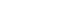 Embajador JANOME