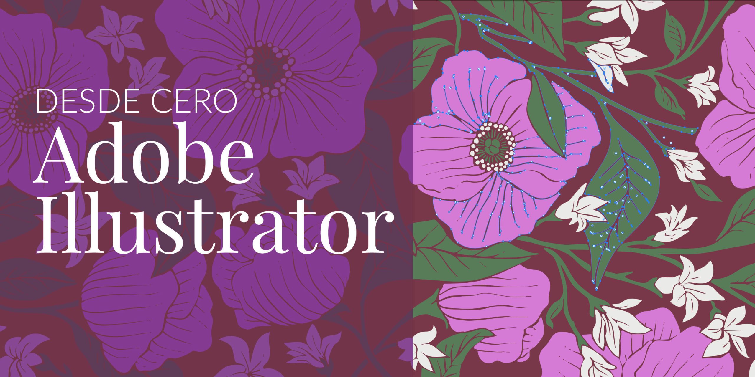 Adobe Illustrator desde cero