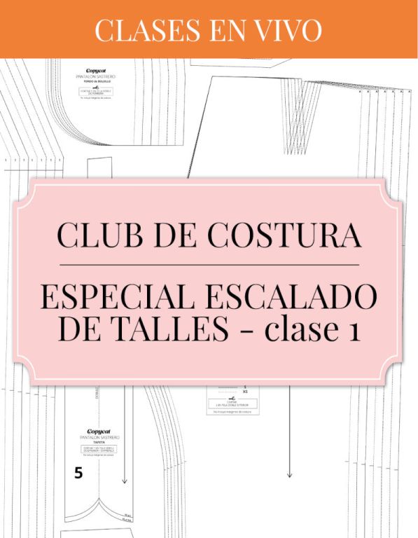 Mes 4 - Clase en vivo 1