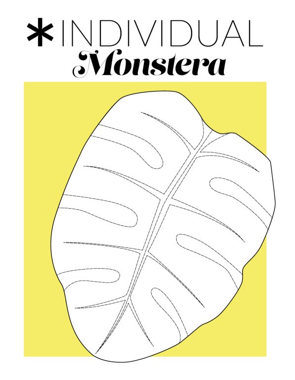 Hoja Monstera A4