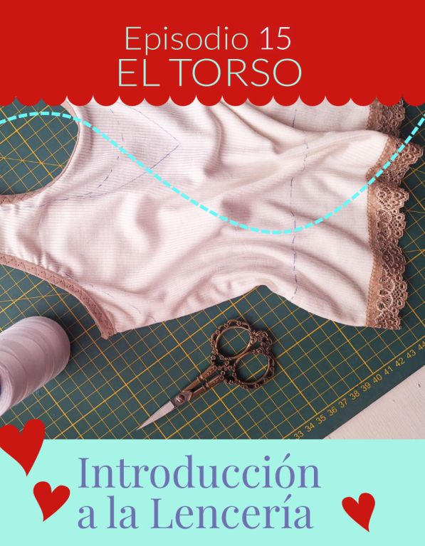 Episodio 15: Muestra del torso